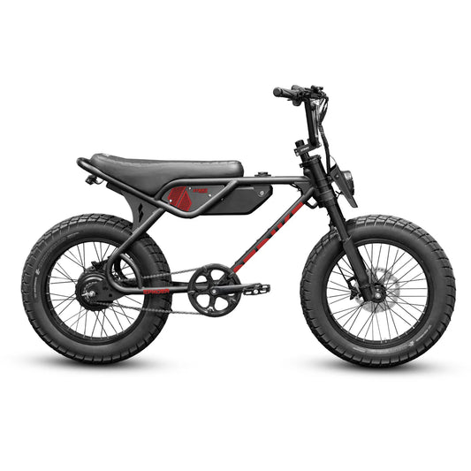 Spyder 500W Pedal Assist
